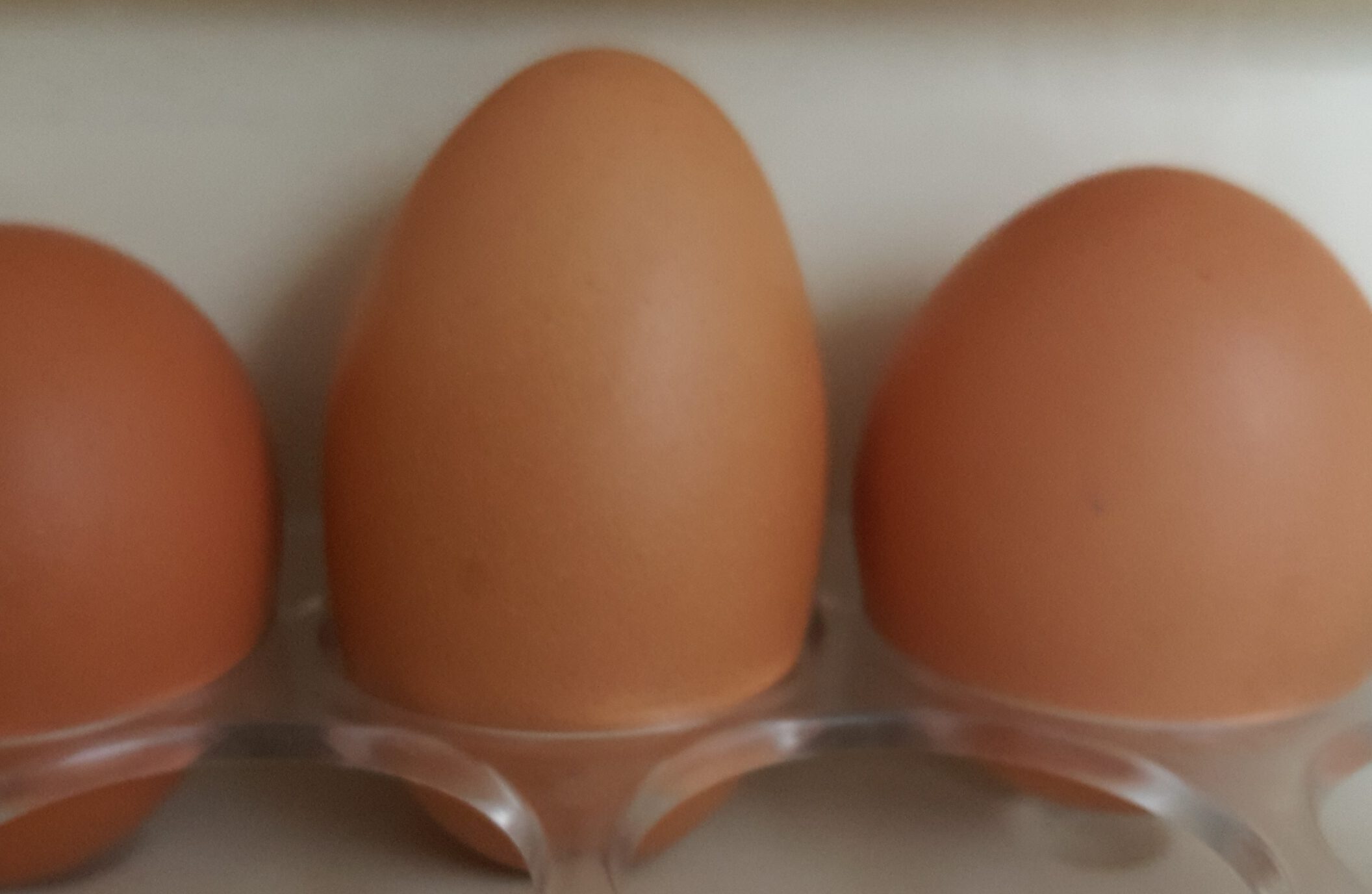 Is Eating Eggs Healthy? 吃鸡蛋健康吗?