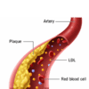 Cholesterol (Lipid-Lowering) Medicines